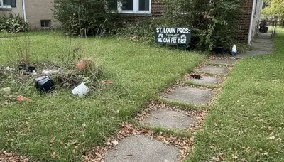 Overgrown lawn before professional landscaping service in St Louis MO by Chop Chop Landscaping
