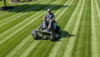 Commercial mower creating perfect lawn stripes during professional mowing in St Louis, MO