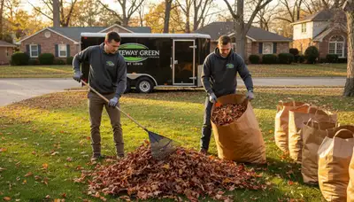 Technicians performing fall leaf removal during professional yard clean up in St Louis, MO
